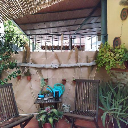 Cool Garden And Suite Майрена-дель-Альхарафе Екстер'єр фото